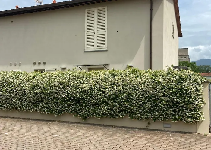 Casa Ariel